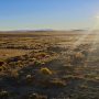 IMG_20260305_195757