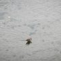IMG_20260314_171102
