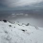 IMG-20260331-WA0018