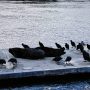 IMG_20260322_182702
