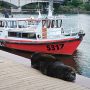 IMG_20260322_182752
