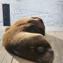 IMG_20260322_184331