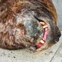 IMG_20260322_192534