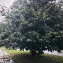 IMG_20260324_132229