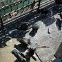 IMG_20260324_141850