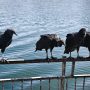 IMG_20260324_141902