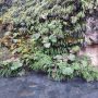 IMG_20260401_185134