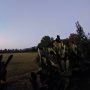 IMG_20260424_182611