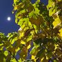 IMG_20260424_184029